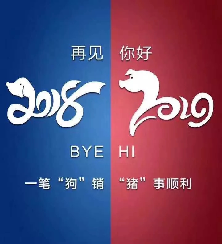 2019 | 鬼知道这一年经历了什么