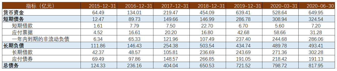 新城控股商票浅析