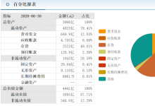 新城控股商票浅析