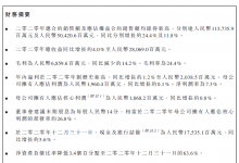 江西龙头房企新力控股千亿谜团，极速狂奔下300亿有息负债压顶